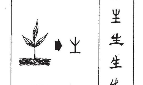 蔗糖与甘蔗糖有什么关系吗视频-糖和蔗糖的区别-蔗糖还是蔗糖,中国糖与蔗糖区别网站